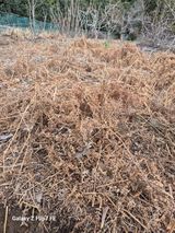 팜모닝 자유주제·자유게시판 게시글 이미지