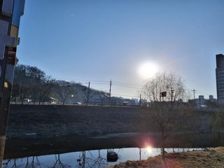 MSG0074님의 자유주제 · 자유게시판 작성글 사진