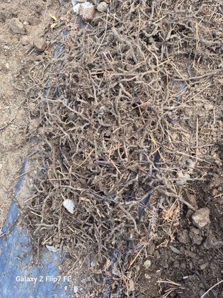 덕포킴님의 자유주제 · 자유게시판 작성글 사진