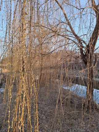 MSG0074님의 자유주제 · 자유게시판 작성글 사진