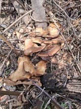 팜모닝 자유주제·자유게시판 게시글 이미지