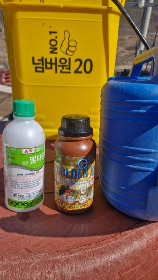 정석구님의 자유주제·자유게시판 작성글 사진