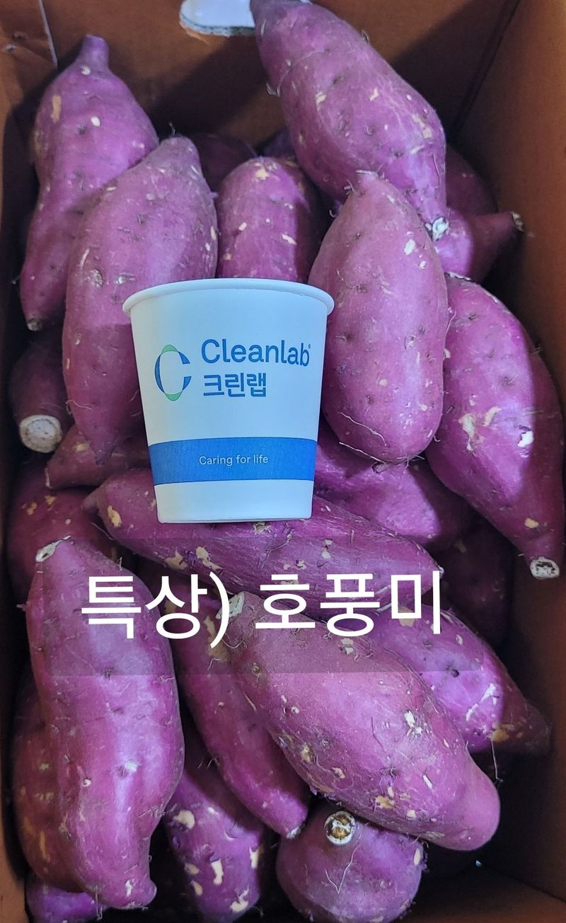 장터 상품 [호박 고구마 판매] 썸네일