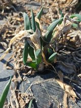 팜모닝 자유주제·자유게시판 게시글 이미지