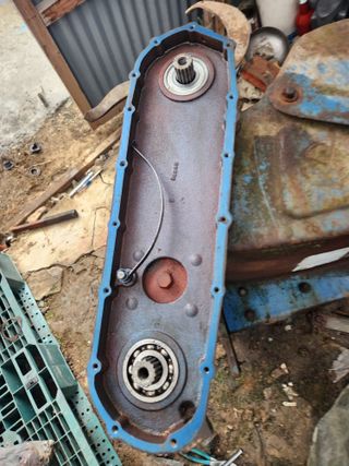 최은오님의 자유주제 · 자유게시판 작성글 사진