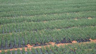 윤상연님의 자유주제 · 자유게시판 작성글 사진