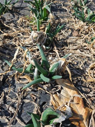 김제일주농장님의 자유주제 · 자유게시판 작성글 사진