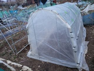 원빈님의 자유주제 · 자유게시판 작성글 사진