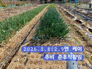 박성민님의 자유주제 · 자유게시판 작성글 사진