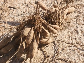 이창신님의 자유주제 · 자유게시판 작성글 사진