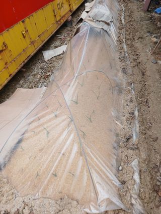 도토리아줌마님의 자유주제 · 자유게시판 작성글 사진