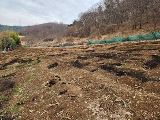 최은오님의 자유주제 · 자유게시판 작성글 사진