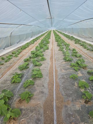 빛그린 김용화님의 자유주제 · 자유게시판 작성글 사진