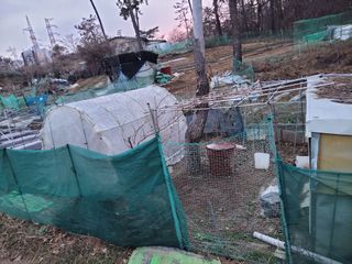 원빈님의 자유주제 · 자유게시판 작성글 사진