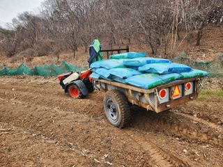 최은오님의 자유주제 · 자유게시판 작성글 사진