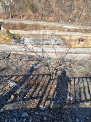 김용대님의 자유주제 · 자유게시판 작성글 사진