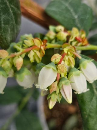 제주 지안이네농장님의 자유주제 · 자유게시판 작성글 사진