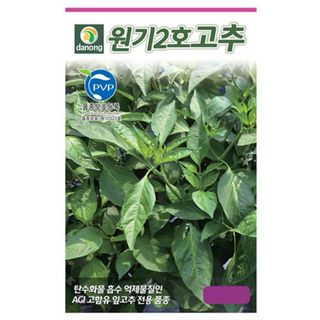 주주씨앗님의 작성글 사진