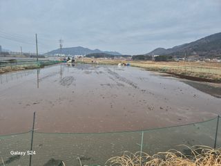 사천시향촌동 돼지띠님의 자유주제 · 자유게시판 작성글 사진