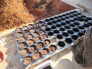 이창신님의 자유주제 · 자유게시판 작성글 사진