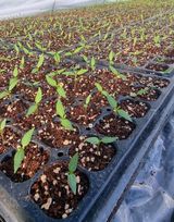 팜모닝 자유주제·자유게시판 게시글 이미지