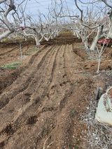 박사도사님의 자유주제·자유게시판 작성글 사진