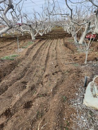 박사도사님의 자유주제 · 자유게시판 작성글 사진