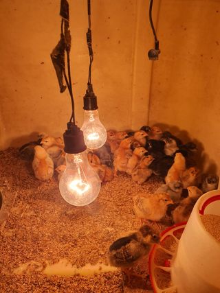 김영복님의 작성글 사진