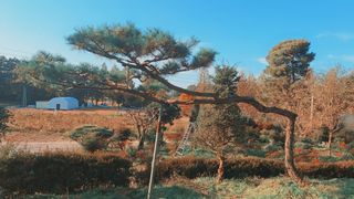 고광은님의 자유주제 · 자유게시판 작성글 사진