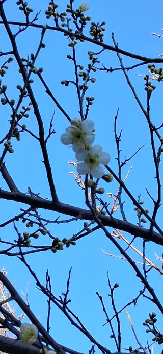 우철님의 자유주제 · 자유게시판 작성글 사진