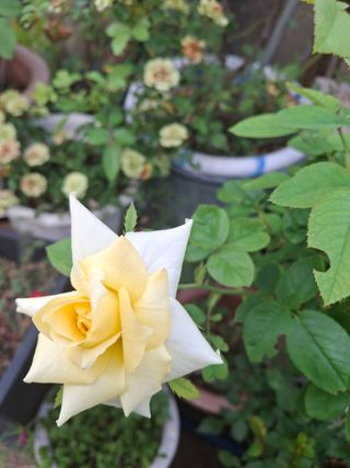 신여사님의 자유주제 · 자유게시판 작성글 사진