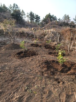 개인교수님의 자유주제 · 자유게시판 작성글 사진