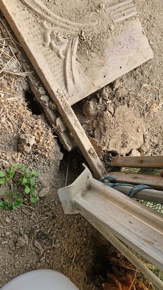 어설픈촌넘님의 자유주제 · 자유게시판 작성글 사진