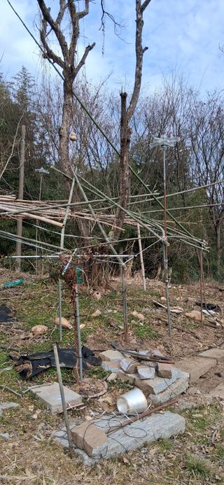 우철님의 자유주제 · 자유게시판 작성글 사진