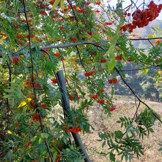 박수연님의 작성글 사진