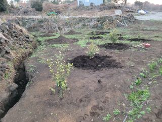 개인교수님의 자유주제 · 자유게시판 작성글 사진