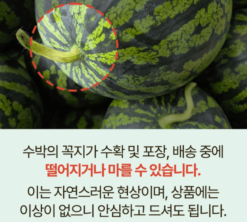 스피드번님의 장터 판매 상품 [하우스 수박] 첨부 사진