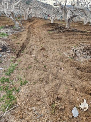 박사도사님의 자유주제 · 자유게시판 작성글 사진