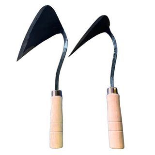 오훈조님의 작성글 사진