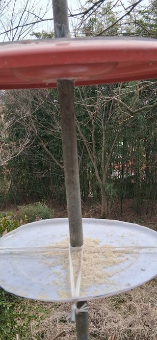 우철님의 자유주제 · 자유게시판 작성글 사진