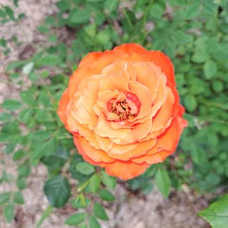 신여사님의 자유주제 · 자유게시판 작성글 사진