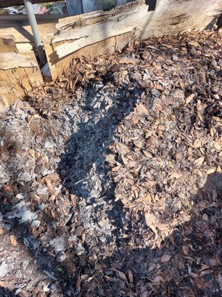 정대균님의 자유주제 · 자유게시판 작성글 사진