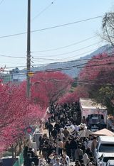 팜모닝 자유주제·자유게시판 게시글 이미지