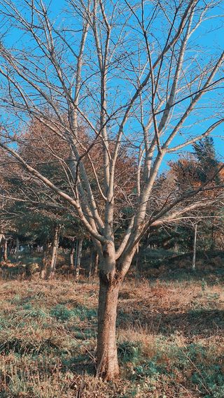 고광은님의 자유주제 · 자유게시판 작성글 사진