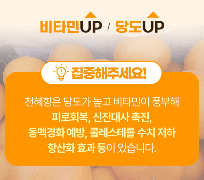 스피드번님의 장터 판매 상품 [특가 정품 천혜향/한라봉 ] 첨부 사진