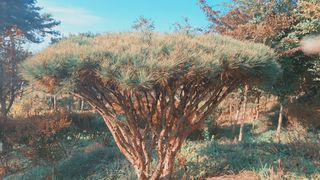 고광은님의 자유주제 · 자유게시판 작성글 사진