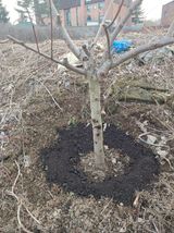 팜모닝 자유주제·자유게시판 게시글 이미지