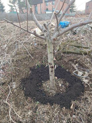 도토리아줌마님의 자유주제 · 자유게시판 작성글 사진