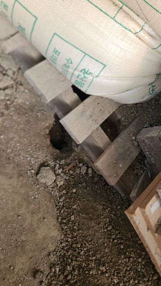 어설픈촌넘님의 자유주제 · 자유게시판 작성글 사진