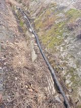 팜모닝 자유주제·자유게시판 게시글 이미지